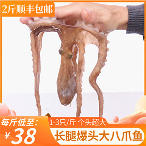 青岛海鲜大章鱼鲜活爆头八爪鱼冷冻乌贼鱼类水产500g 2斤包邮