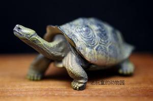 绝版·yujin原色爬虫類カメ目図鑑单卖——加拉帕戈斯象龟