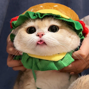 猫咪汉堡头套帽子小猫头饰狗狗生日装扮宠物头盔幼猫搞怪太阳帽子