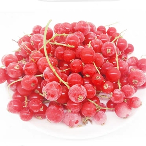 【蓝牌】新鲜红加仑 冷冻水果 带茎红醋栗红加伦浆果装饰摆盘200g