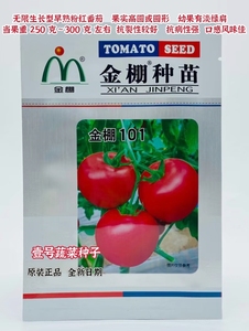 金棚101/一号番茄种子春秋越冬无限生长型优质粉红番茄西红柿种籽