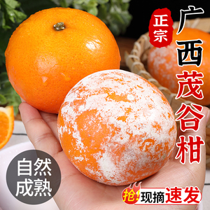 广西茂谷柑10斤新鲜水果当季现摘薄皮桔子脏脏柑橘石灰柑沃柑整箱