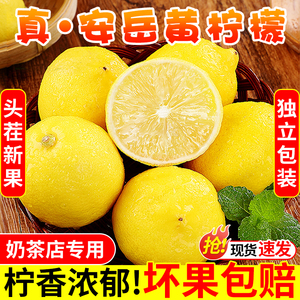 四川安岳黄柠檬10斤新鲜水果当季现摘薄皮一级香水小金桔柠檬包邮