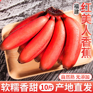 红美人香蕉10斤当季水果现摘小香焦新鲜红皮芭蕉米蕉批发整箱包邮