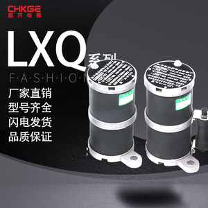 LXQ YXQ RXQ压变一次电压互感器消谐装置6KV-10KV阻尼电阻器