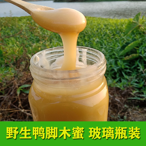 【2斤冬蜜野生鸭脚木】土蜂蜜纯正天然从化农家自产野生深山原蜜