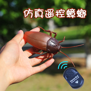 遥控小蟑螂玩具仿真小强电动小虫子昆虫模型创意礼物整蛊道具恶搞
