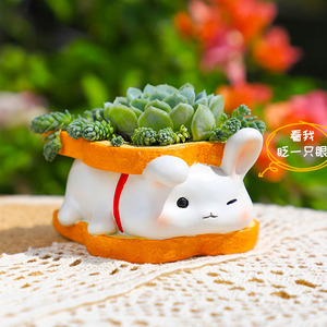 创意可爱卡通新款多肉花盆动物造型小白兔猫咪植物小盆栽儿童摆件