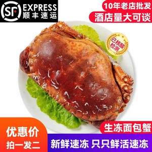面包蟹黄金蟹鲜活冷冻大螃蟹1.5斤-2斤只两只装顺丰冷链空运包邮