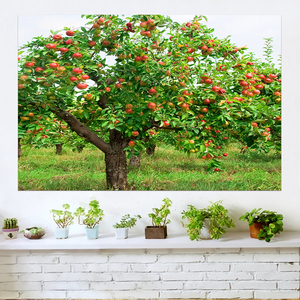 平安喜乐苹果墙贴自粘苹果树客厅带框挂画酒店餐厅装饰画水果壁画