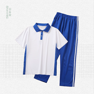 夏季高中生校服套装两件套蓝白短袖棉徽章班徽定制中博教育上衣T