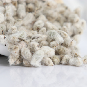 棉花籽棉花仔棉花子籽棉花种籽去壳棉花种子可带籽的棉花结婚棉籽