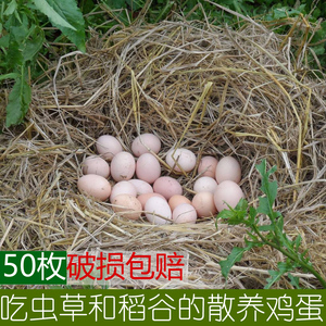 正宗农村散养自家地道草鸡蛋孕妇月子营养无激素新鲜土鸡蛋50枚