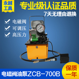 超高压液压电动泵 单双回路三回路220V380V便携式 电磁阀脚踏泵站