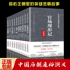 全30本 岳飞传包公案狄公案济公传水浒传三国演义等历代通俗演义