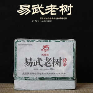 云南普洱茶 龙园号 易武老树茶生砖 250g 普洱茶砖2019年早春茶