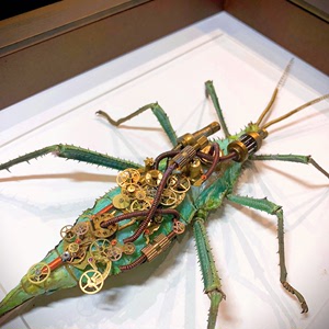 巨扁竹节虫机械甲虫 蒸汽朋克甲虫标本 顺丰包邮 个性生日礼物