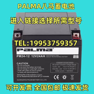 PALMA八马蓄电池PM24-12现货包邮12V24AH12AH38AH65AH消防主机UPS