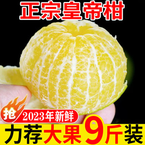 广西皇帝柑大果10斤新鲜当季整箱精选贡黄帝柑橘子现摘现发包邮