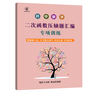 初中数学函数全国初中一次二次函数专题专项练习册初一初二初三复习资料七八九年级中考题型归纳突破专项训练