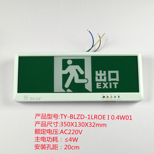 台谊消防应急疏散指示灯明装老款TY-BLZD-1LROE I 0.4W01台谊安全