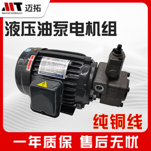 液压油泵电机组VP20+0.75KW1.5液压泵总成内轴电机液压站配件系统