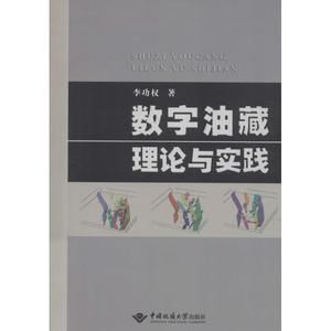 RT69包邮 数字油藏理论与实践中国地质大学出版社自然科学图书书籍