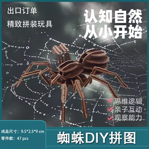 出口订单3d立体纸拼图昆虫DIY拼插模型玩具儿童启蒙精致礼物蜘蛛