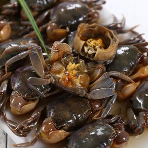 新鲜宁波海鲜特产醉螃蜞900醉蟹蟛蜞咸蟹呛蟹白玉蟹小螃蟹即食下
