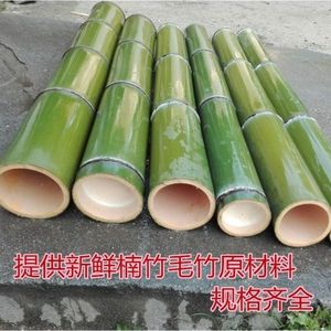 楠竹毛竹竹筒 新鲜现砍 竹制品原材料 竹子工艺品原材料