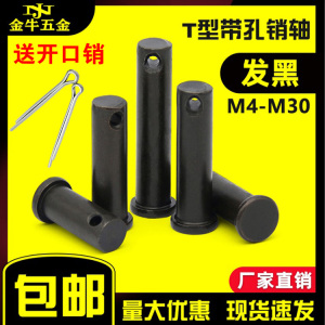 GB882发黑平头带孔销轴T型销轴定位销插销子M4M5M6M8M10M12M14M30