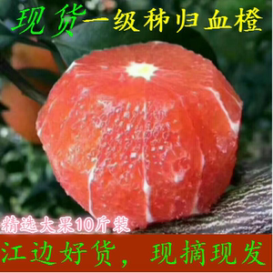 秭归中华红橙 新鲜现摘当季红心水果红肉脐橙10斤大果全国包邮