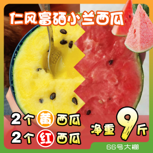 西瓜水果4个2红壤2黄壤仁风富硒新鲜脆甜多汁老人小孩冰淇淋嗨瓜