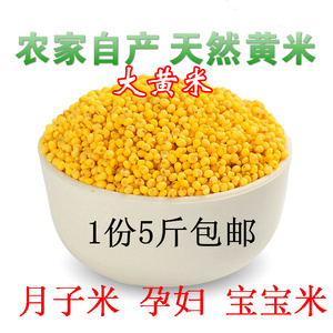 大黄米5斤五谷杂粮黄米农家自产糯小米粽子米小米粥黏粘黄米包邮
