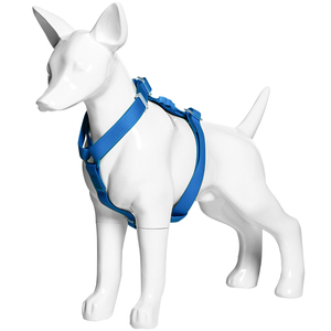 吉娃娃狗模型创意道具树脂招财摆件橱窗服装陈列道具展示狗狗模特