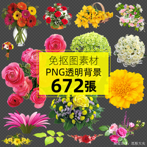 672张高清花朵花束花球花枝花篮鲜花玫瑰绿叶免抠透明png图片素材