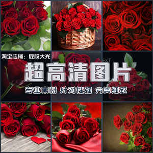 超大超高清图片美丽红玫瑰鲜红娇艳花朵花瓣花束鲜花静物设计素材