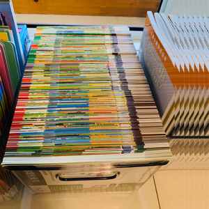书箱raz盒子透明装书本的整理箱牛津树绘本神器儿童书籍收纳书架