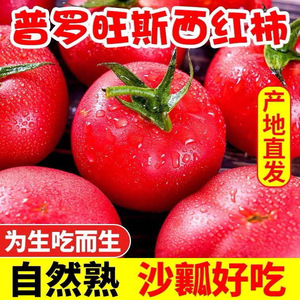 陕西泾阳普罗旺斯沙瓤草莓心西红柿儿时的味道生吃大番茄