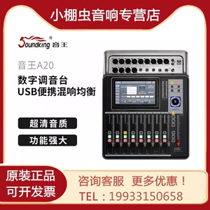Soundking音王A20 DM20数字调音台舞台演出便携小型调音台