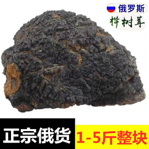 桦树茸俄罗斯进口整块特级野生一斤黑金颗粒桦褐孔菌白桦树茸大块