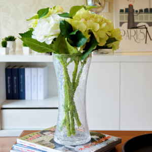 富贵竹冰裂纹花瓶玻璃透明 客厅欧式摆件水培现代简约家居装饰品