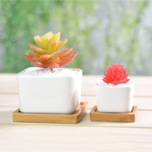 韩国多肉植物小花盆正方形简约白瓷多肉花盆带竹托创意桌面小盆栽