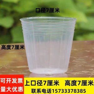 白色塑料育苗杯营养钵草莓育苗杯加厚结实防老化