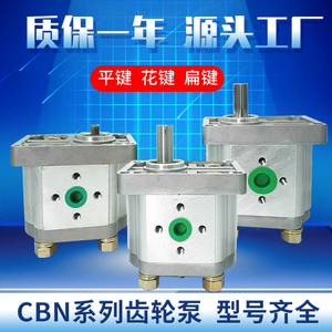 CBN系列齿轮油泵 CBT/CBN-F304/F306/F310/F312/ 法兰式齿轮泵