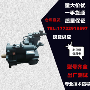 电动日本不二越NACHI柱塞泵PZS-3B-70N3-10/PZS-3A/4A油泵PZS-6B