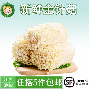 金针菇菌菇菌类新鲜蔬菜500g杭州同城满额免邮配送全国