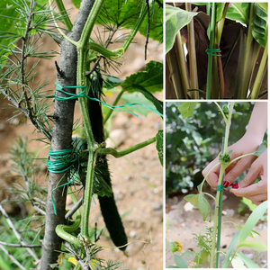 园艺扎线爬藤植物绑带造型铁丝包塑多功能家用花卉绑花工具神器