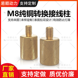 M8纯铜接线柱锂电池塑料外壳蓄电池电瓶正负极接线端子用支持定制