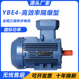 YBX4粉尘隔爆型三相异步电动机380V二级马达铜芯煤安防爆变频电机